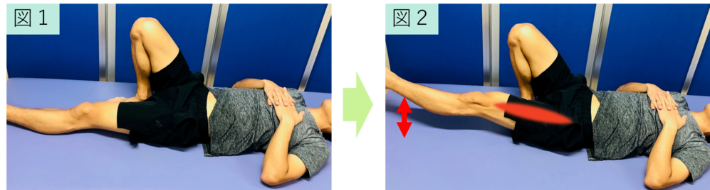 大腿四頭筋の筋力トレーニング（ASLR） | PICTORUみたかクリニック 