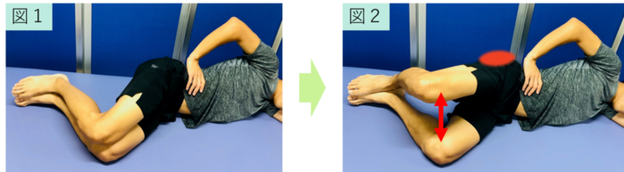 股関節周囲筋のトレーニング（クラムシェル）